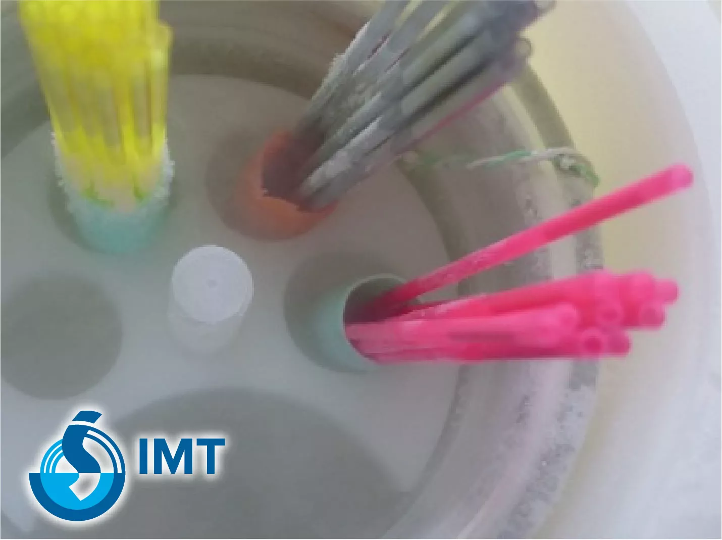 IMT VitMaster IVF Ultra Rapid Vitrification System